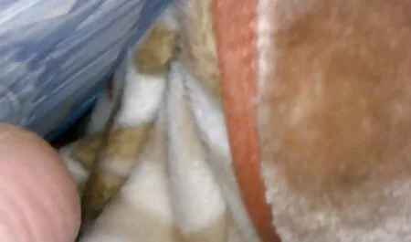 Ççê ی سوپر سکس بکن بدون رحمت دزد خارج از منزل